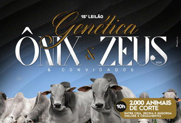 15º LEILÃO GENÉTICA ONIX & ZEUS & CONVIDADOS - CORTE