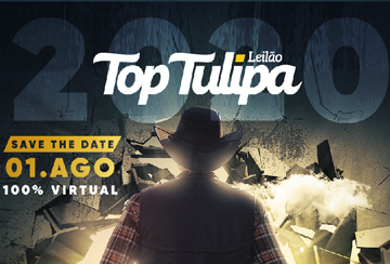 LEILÃO VIRTUAL TOP TULIPA - EDIÇÃO 2020