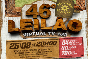 46º LEILÃO VIRTUAL TV-SAT MARCA SOL GUZERÁ