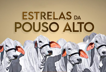 LEILÃO TABAPUÃ ESTRELAS DA POUSO ALTO