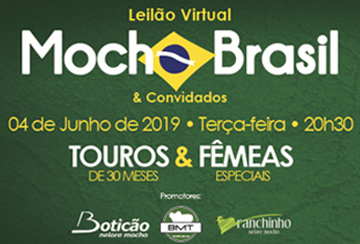 LEILÃO VIRTUAL MOCHO BRASIL & CONVIDADOS