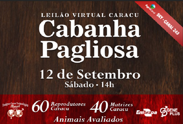 LEILÃO VIRTUAL CARACU CABANHA PAGLIOSA