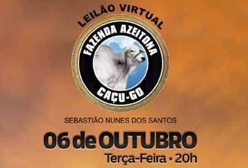 LEILÃO VIRTUAL FAZENDA AZEITONA