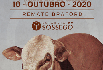 REMATE BRAFORD ESTÂNCIA SOSSEGO