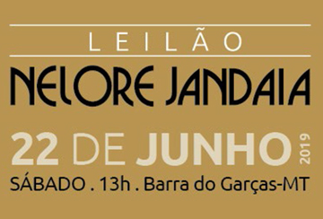 LEILÃO NELORE JANDAIA