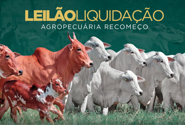 LEILÃO LIQUIDAÇÃO AGROPECUÁRIA RECOMEÇO