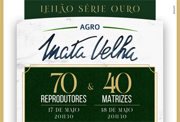 LEILÃO SÉRIE OURO AGRO MATA VELHA - REPRODUTORES