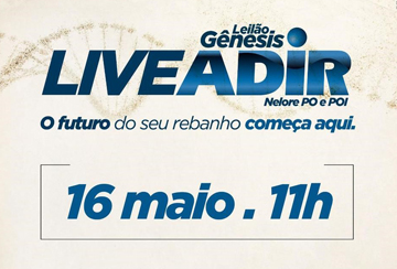 LIVE - LEILÃO GÊNESIS ADIR