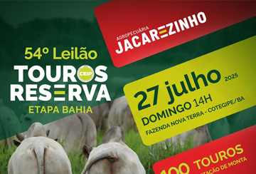 54º LEILÃO TOUROS RESERVA JACAREZINHO - ETAPA BAHIA