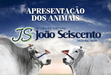 APRESENTAÇÃO DOS ANIMAIS -  8º LEILÃO VIRTUAL JOÃO SEISCENTO - FAZENDA TALITA