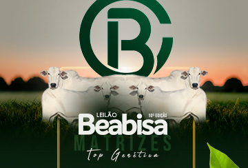 LEILÃO BEABISA - MATRIZES TOP GENÉTICA - 10ª EDIÇÃO