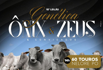 15º LEILÃO GENÉTICA ONIX & ZEUS & CONVIDADOS - TOUROS