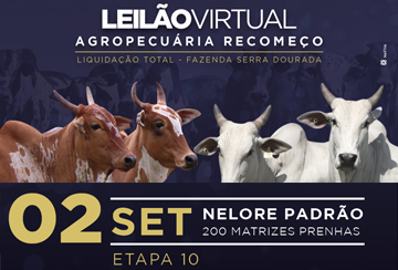 LEILÃO LIQUIDAÇÃO AGROPECUÁRIA RECOMEÇO - ETAPA 10