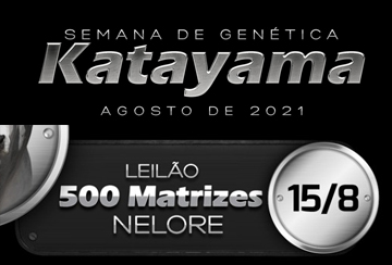 SEMANA DE GENÉTICA KATAYAMA - LEILÃO MATRIZES NELORE