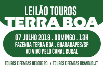 LEILÃO TOUROS TERRA BOA