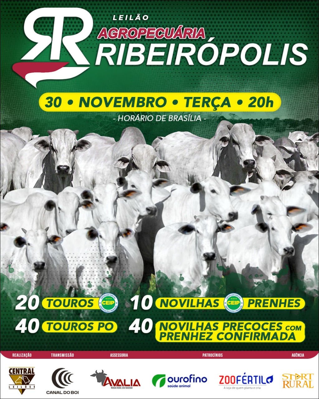 LEILÃO VIRTUAL AGROPECUÁRIA RIBEIRÓPOLIS