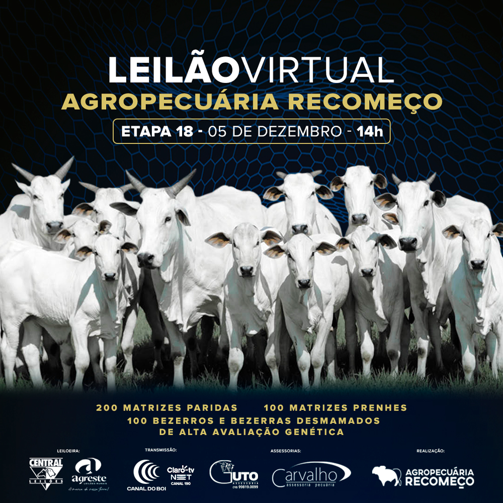 LEILÃO VIRTUAL AGROPECUÁRIA RECOMEÇO - ETAPA 18