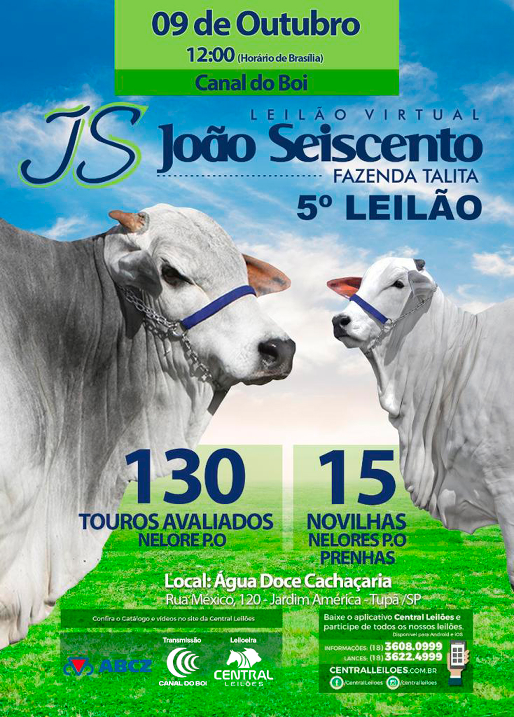 Leilão Virtual Fazenda Reata 