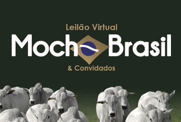 LEILÃO VIRTUAL MOCHO BRASIL & CONVIDADOS