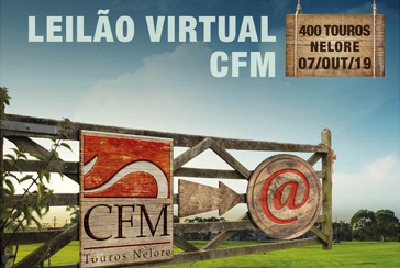 LEILÃO VIRTUAL CFM BULLTRADE