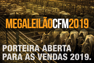 MEGALEILÃO CFM 2019