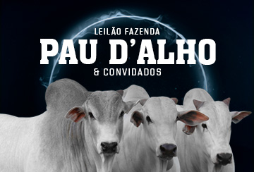 LEILÃO FAZENDA PAU D'ALHO & CONVIDADOS
