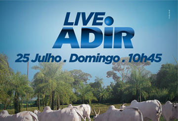 LIVE ADIR