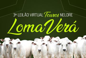 3º LEILÃO VIRTUAL TOUROS NELORE LOMA VERÁ