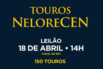 LEILÃO TOUROS NELORE CEN