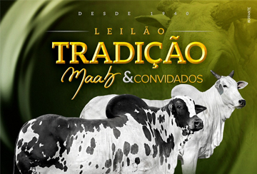 LEILÃO TRADIÇÃO MAAB & CONVIDADOS