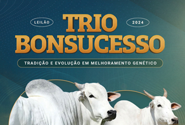 LEILÃO TRIO BONSUCESSO - TOUROS