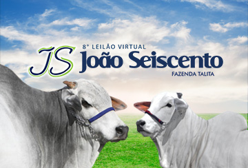 8º LEILÃO VIRTUAL JOÃO SEISCENTO