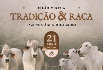 LEILÃO VIRTUAL TRADIÇÃO & RAÇA - FAZENDA ÁGUA MILAGROSA