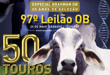 97º LEILÃO OB