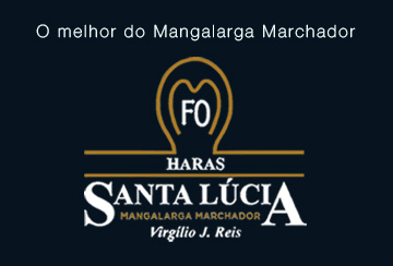 LEILÃO VIRTUAL HARAS SANTA LUCIA