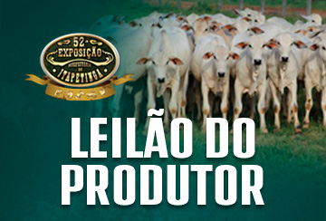 LEILÃO DO PRODUTOR