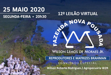 12º LEILÃO VIRTUAL FAZENDA NOVA POUSADA