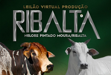 LEILÃO VIRTUAL PRODUÇÃO RIBALTA