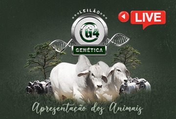 LIVE APRESENTAÇÃO DOS ANIMAIS -  LEILÃO GENÉTICA TAB G4