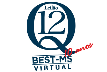 LEILÃO VIRTUAL Q12 - BEST/MS