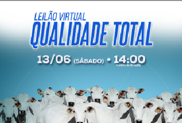 LEILÃO VIRTUAL QUALIDADE TOTAL