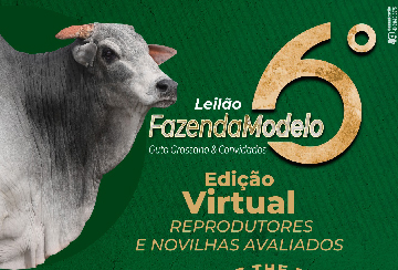 6º LEILÃO FAZENDA MODELO - GUTO GRASSANO & CONVIDADOS - REPRODUTORES E NOVILHAS