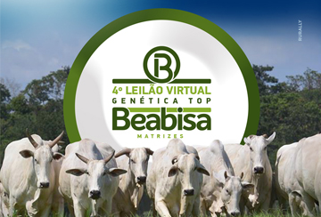 4º LEILÃO VIRTUAL GENÉTICA TOP BEABISA - MATRIZES NELORE