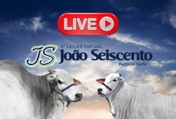 LIVE APRESENTAÇÃO DOS ANIMAIS - 8º LEILÃO VIRTUAL JOÃO SEISCENTO - FAZENDA TALITA