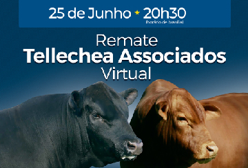 REMATE VIRTUAL TELLECHEA ASSOCIADOS