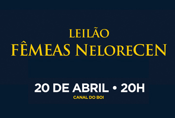 LEILÃO FÊMEAS NELORE CEN