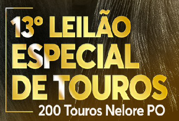 13º LEILÃO ESPECIAL DE TOUROS