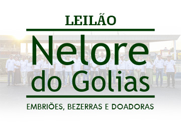LEILÃO NELORE DO GOLIAS - EMBRIÕES, BEZERRAS E DOADORAS