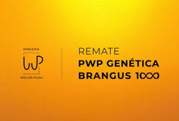 REMATE PWP GENÉTICA BRANGUS 1000