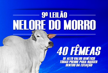 9º LEILÃO NELORE DO MORRO